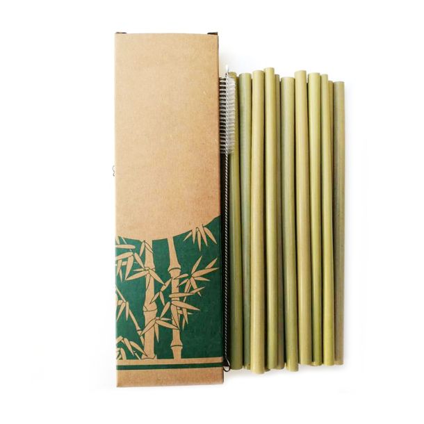 Bamboo Drinking Straws with Brush